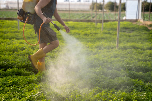 Best Affordable Pest Control Services  in Monette, AR