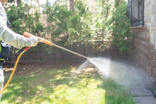 Best Wildlife Control Services  in Monette, AR