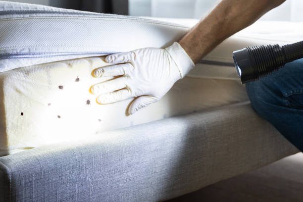 Best Pest Inspection Near Me  in Monette, AR