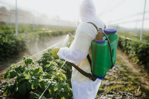 Best Commercial Pest Control Services  in Monette, AR